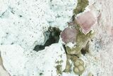 Gemmy Cobaltoan Calcite Crystals w/ Chrysocolla - DR Congo #354943-1
